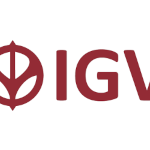 Logo IGV